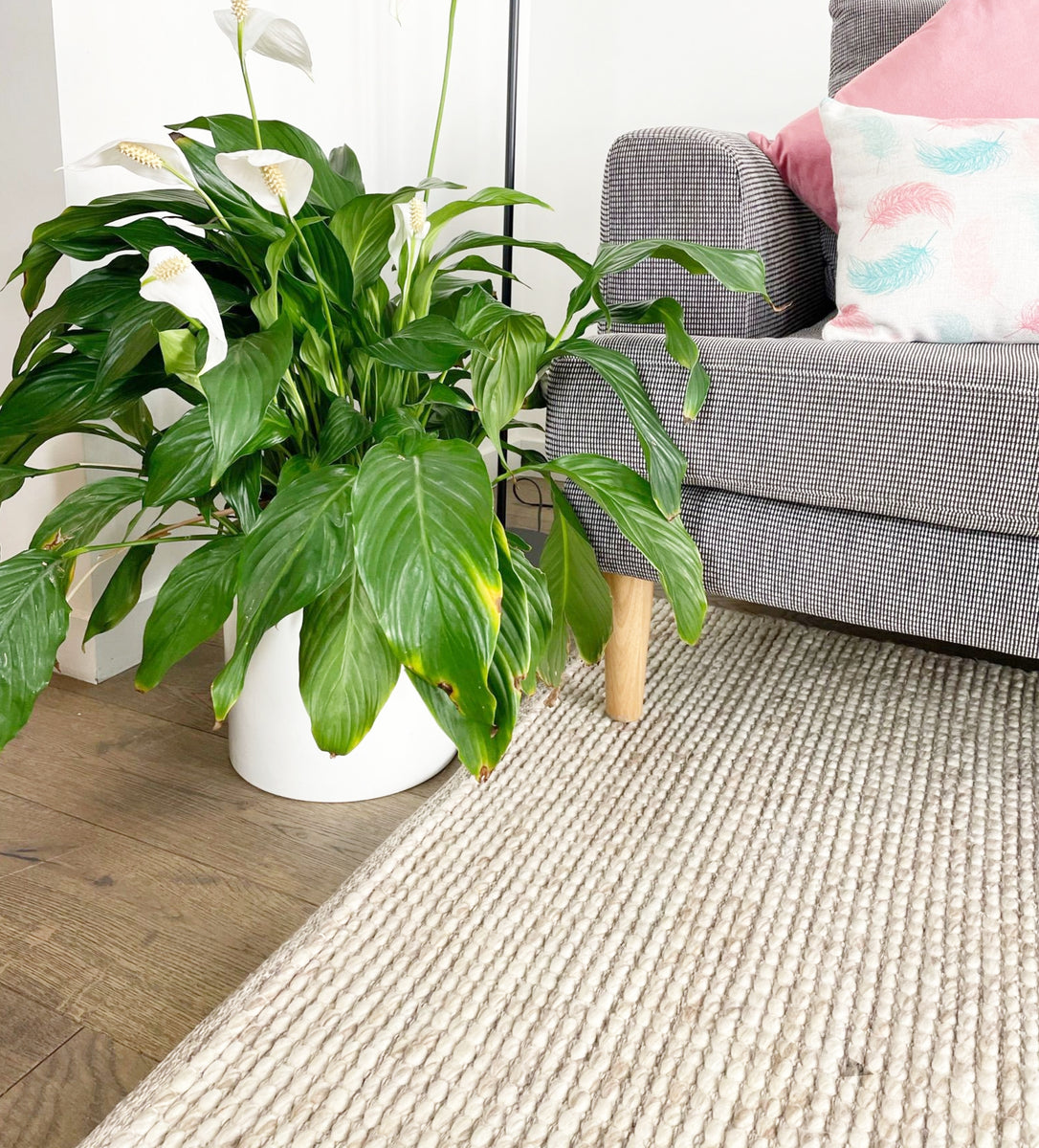Wool Rugs Melbourne – SamaRugs