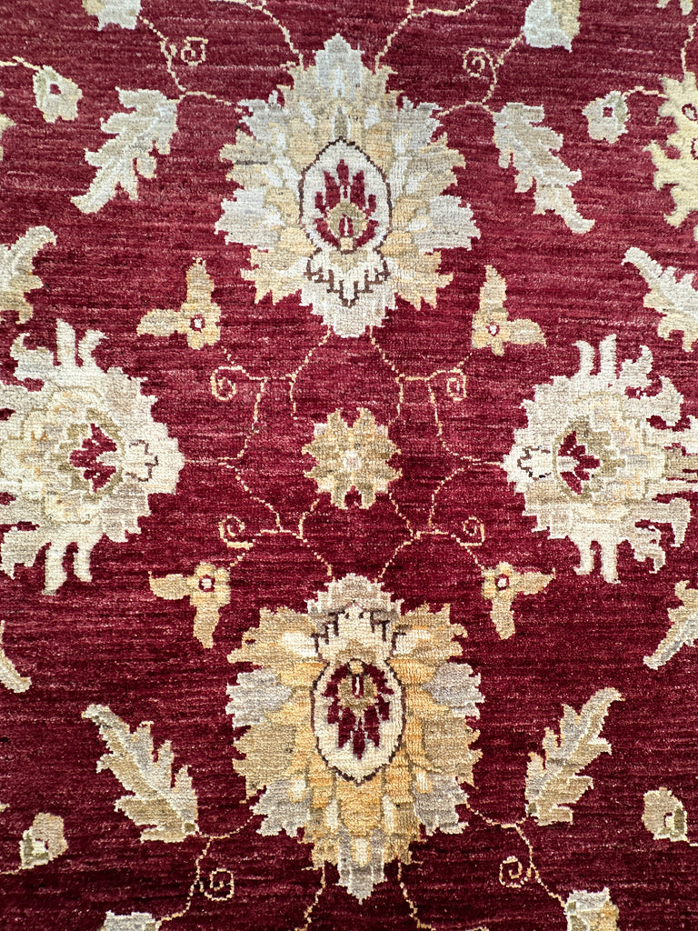 Afghan handmade rug,Chobi . Size: 325x213 cm