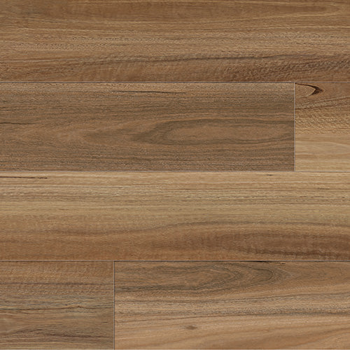 Summit Northern Spotted Gum 9.7mm