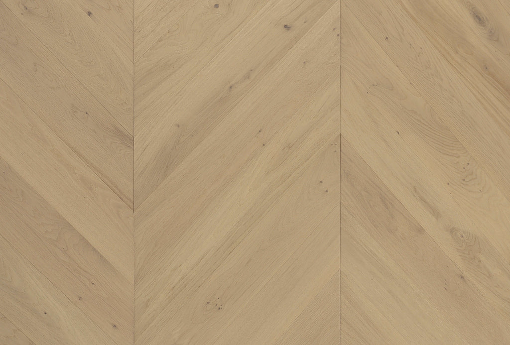 Cavallo Bianco Chevron — Champagne