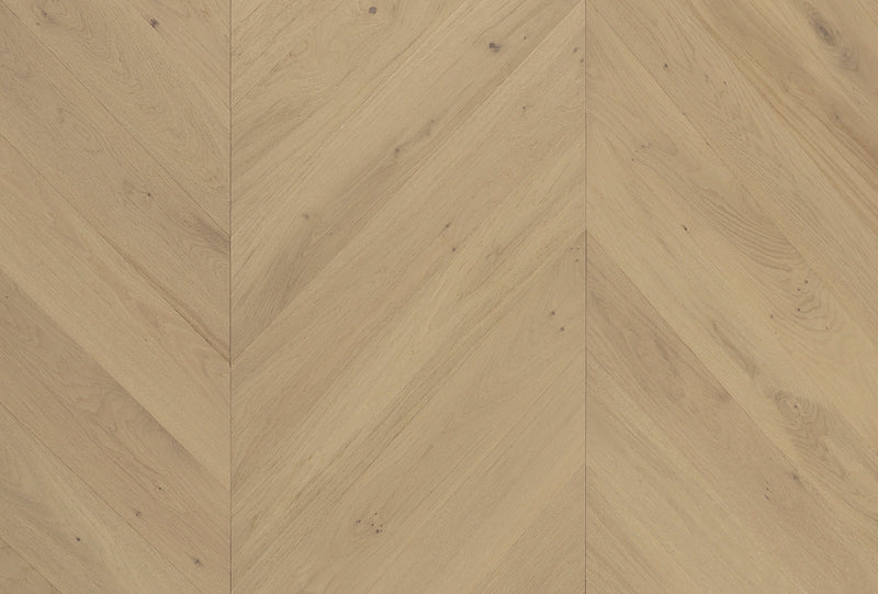 Cavallo Bianco Chevron — Champagne