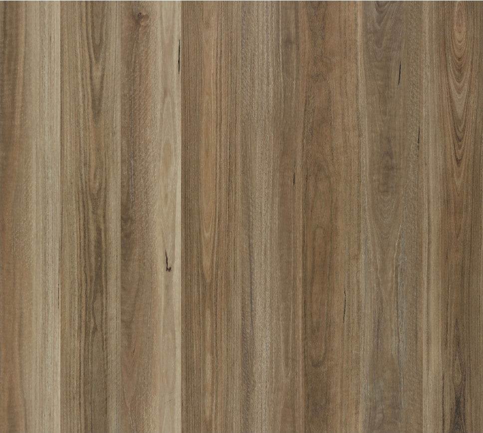 Lumiere Spotted Gum 7mm