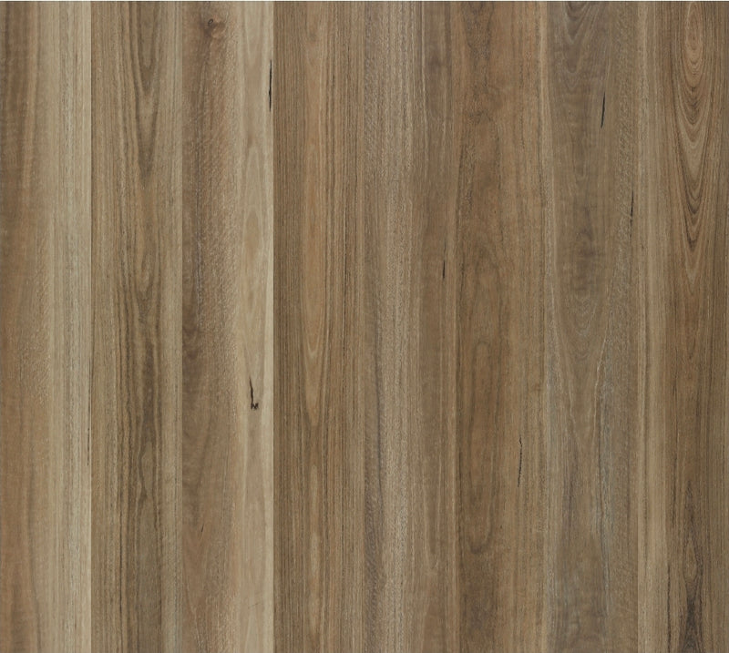 Lumiere Spotted Gum 7mm