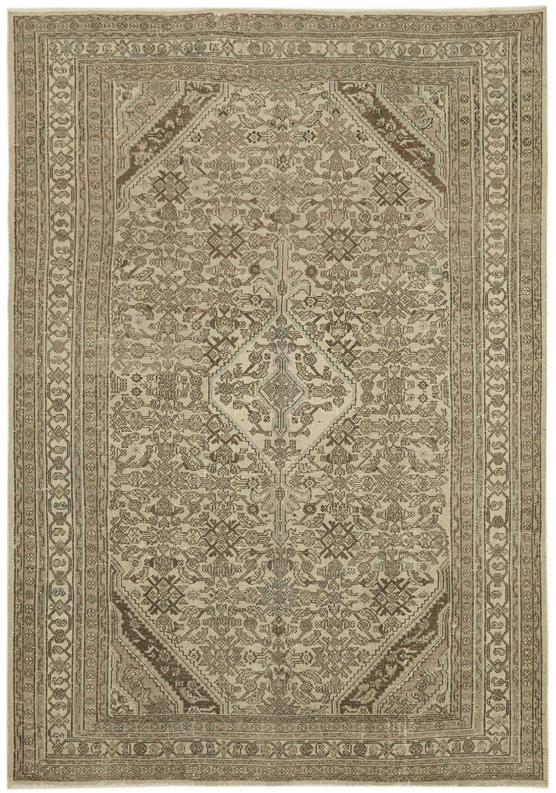 Aegis Melody Vintage Persian Rug - 2.54 x 3.61